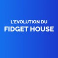 Ev fidget